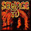 Sewage Tower Defense